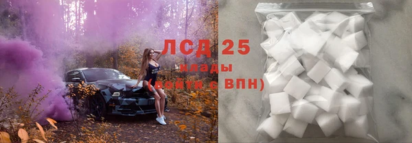 мяу мяу мука Кодинск
