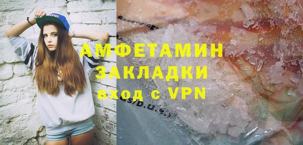 прущие грибы Козловка