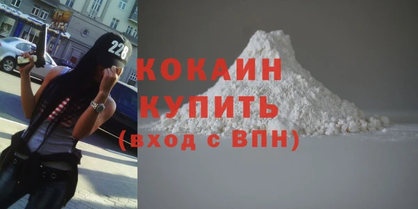 прущие грибы Козловка
