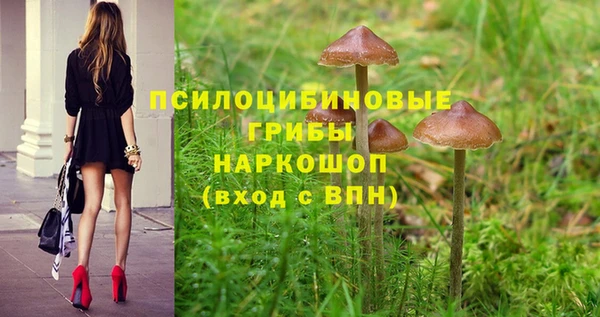 мяу мяу мука Кодинск