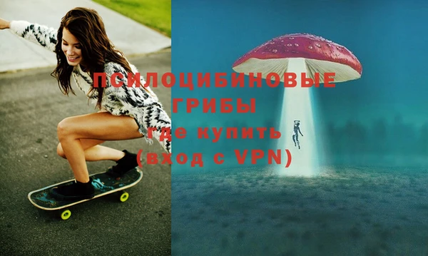 мяу мяу мука Кодинск